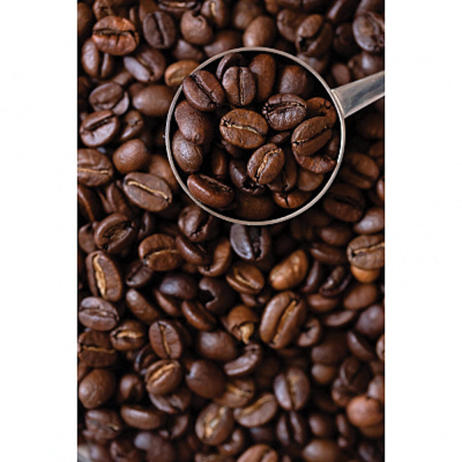 Кофе в зернах COFFESSO "Espresso", 1000 г, вакуумная упаковка - купить ...